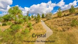  Presentation with safari park beautiful wildlife animal - Theme enhanced with beautiful mountain trail park okanagan background and a  colored foreground