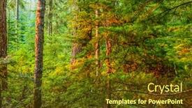  Presentation with british columbia canada - Presentation theme having beautiful-mountain-trail-view background and a tawny brown colored foreground