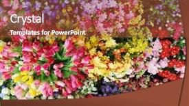  Presentation with beautiful flowers border floral design - Theme featuring beautiful multicolored artificial flowers background background and a red colored foreground