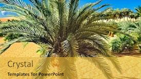 Presentation with oasis - Presentation design consisting of beautiful natural background -african oasis background and a yellow colored foreground