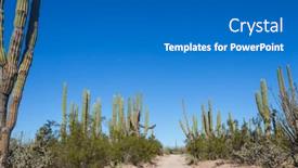  Presentation with beautiful landscapes - Presentation theme with beautiful-natural-landscapes-in-baja background and a teal colored foreground