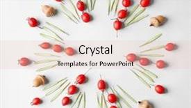  Presentation with mandala - Slide deck with beautiful natural mandala on light background and a lemonade colored foreground