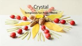  Presentation with mandala - Audience pleasing slides consisting of beautiful natural mandala on light backdrop and a lemonade colored foreground