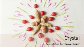  Presentation with mandala - Slides enhanced with beautiful natural mandala on light background and a lemonade colored foreground