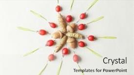  Presentation with mandala - PPT layouts consisting of beautiful natural mandala on light background and a white colored foreground