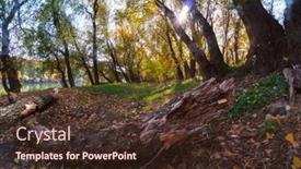  Presentation with yellow color - 