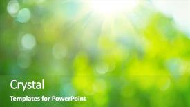 Presentation with nature sun leaves - Colorful PPT theme enhanced with beautiful nature blurred background green backdrop and a tawny brown colored foreground