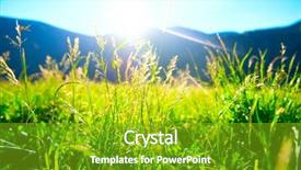  Presentation with alpine - Presentation with beautiful nature landscape - alpine meadow background and a shamrock green colored foreground