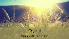  Presentation with alpine - PPT theme enhanced with beautiful nature landscape - alpine meadow background and a yellow colored foreground