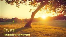  Presentation with fig tree - Slide deck having beautiful-nature-landscape-alpine-meadow background and a tawny brown colored foreground