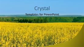  Presentation with beautiful nature - Amazing slide deck having beautiful-nature-landscape-flowers-field backdrop and a light blue colored foreground
