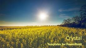  Presentation with beautiful nature - Audience pleasing slide set consisting of beautiful-nature-landscape-yellow-flowers backdrop and a tawny brown colored foreground
