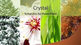  Presentation with beautiful nature - PPT theme enhanced with earth cycles - different seasons of the year background and a yellow colored foreground