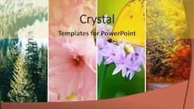  Presentation with beautiful nature - Audience pleasing slides consisting of seasons of the year - several backdrop and a yellow colored foreground
