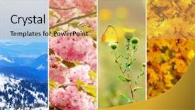  Presentation with beautiful nature - Amazing presentation theme having leaf flower - different seasons of the year backdrop and a yellow colored foreground