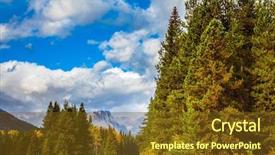  Presentation with forests - Cool new theme with beautiful nature of the rocky mountains of canada evergreen coniferous forests majestic mountains and the yellow autumn bushes backdrop and a tawny brown colored foreground