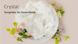  Presentation with white hydrangea - Cool new slide set with beautiful-newborn-digital-background backdrop and a lemonade colored foreground