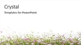  Presentation with purple flowers - Colorful presentation design enhanced with urban traffic of hong kong backdrop and a gray colored foreground