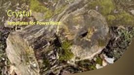  Presentation with moss - Audience pleasing theme consisting of beautiful-old-tree-stump-covered backdrop and a tawny brown colored foreground