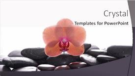  Presentation with zen - PPT layouts having beautiful-orange-orchid-and-zen background and a sky blue colored foreground