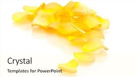  Presentation with white rose - Beautiful slide deck featuring beautiful orange rose petals isolated backdrop and a blonde colored foreground