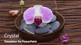  Presentation with bud - Audience pleasing slide deck consisting of beautiful orchid with gray stones in bowl with bud on mat texture backdrop and a wine colored foreground