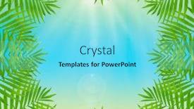  Presentation with palm leaves - Colorful slides enhanced with beautiful-palm-leaves-shaped backdrop and a arctic colored foreground