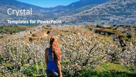  Presentation with cherry blossom - Theme having beautiful-panorama-of-jerte-valley background and a  colored foreground