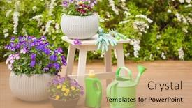  Presentation with garden tools - Slide set with beautiful-pansy-summer-flowers background and a coral colored foreground