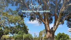  Presentation with park - Presentation featuring beautiful-parklands-at-carey-park background and a ocean colored foreground