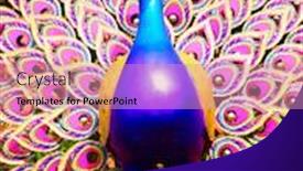  Presentation with peacock - Slide deck with beautiful-peacock-sculpture-celebrating-singapore background and a coral colored foreground