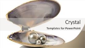  Presentation with pearl oyster - Slide deck enhanced with beautiful pearls in a shell background and a light gray colored foreground