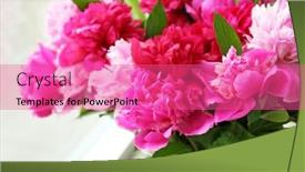  Presentation with peony - 