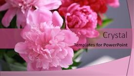  Presentation with peony - 