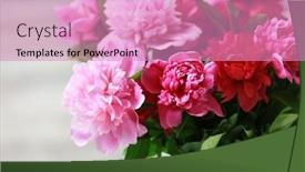  Presentation with peony - 