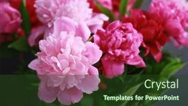  Presentation with peony - 
