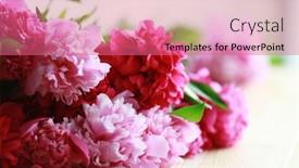  Presentation with peony - 