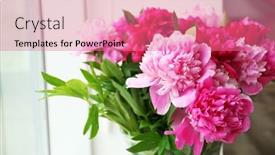  Presentation with peony - 