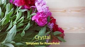  Presentation with peony - 
