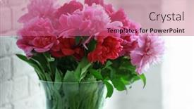  Presentation with peony - 