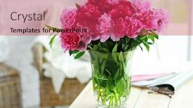  Presentation with peony - Beautiful presentation theme featuring beautiful peony bouquet in vintage interior backdrop and a red colored foreground