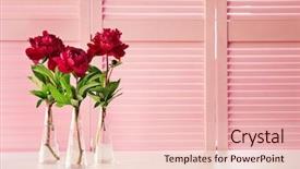  Presentation with peony - PPT layouts with beautiful peony flowers on pink folding screen background background and a lemonade colored foreground