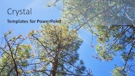  Presentation with trees - Presentation with beautiful-photo-of-the-sky background and a light blue colored foreground