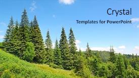  Presentation with pine trees - Beautiful slides featuring soccer best moments mixed media backdrop and a navy blue colored foreground