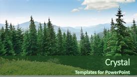  Presentation with pine trees - Cool new slide deck with beautiful pine trees on background backdrop and a tawny brown colored foreground