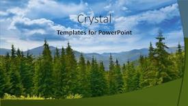  Presentation with pine trees - Slide set with beautiful-pine-trees-on-background background and a light blue colored foreground