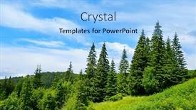  Presentation with pine trees - Slide deck with beautiful-pine-trees-on-background background and a light blue colored foreground