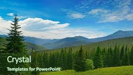  Presentation with apple trees are blooming pink - Audience pleasing theme consisting of beautiful pine trees on background backdrop and a  colored foreground