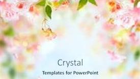  Presentation with blurred flowers - Presentation enhanced with beautiful-pink-and-white-cherry background and a sky blue colored foreground