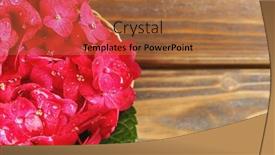  Presentation with hydrangea - 
